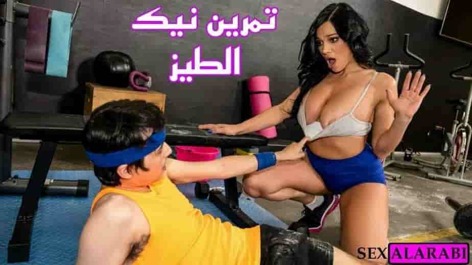 سكس  نيك شرالأمط  طيز مترجم – تمرين  نيك شرالأمط  الطيز مترجم